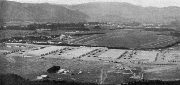 Trentham Camp